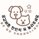 싱투게더 노래연습장 이미지