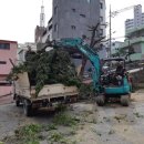 무궁화유치원 이미지