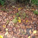 산속에아침 이미지