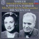 대지의 노래 이미지