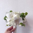 박진아디자인 | 부천 부케 말리기 수국 덴파레, 상처 있는 꽃도 액자 제작 가능할까요?