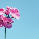 웰스크린골프 이미지