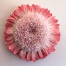 페이퍼 플라워아트 이미지