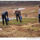 은옥농장 이미지