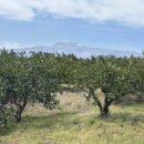 토평동-1 이미지