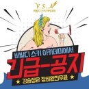 비발디스키아카데미