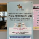 멍탕멍컷 | 청라 애견카페 칸지독 반려견을 위한 넓은 강아지 동반 식당