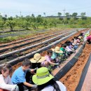 중앙원예 이미지