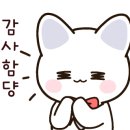 사조동 이미지