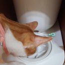 더슬로우 이미지