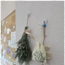 향기심리코칭 이미지