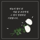 빛하늘의원 네이버블로그