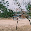 라데나 골프클럽 | 춘천 라데나 이용후기 및 인기 메뉴 점검
