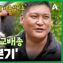 메이84