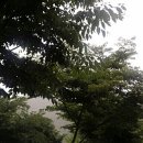 머무름 오토캠핑장 전 이미지