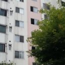 구갈로1 이미지