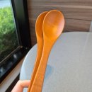 리듬스푼지도사 3급 이미지