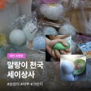 대전 슬랑이 말랑이 파는 곳 세이상사 크런치 박사퍼티 왁뿌 저렴한 완구 쇼핑