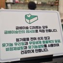 &lt;춘천 애견동반카페ㅡ금베이숲 강원춘천점&gt;춘천 요가카페/춘천 원데이카페/춘천비건 카페/춘천 숲속...