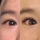 대구 수성구 유하이뷰티 눈썹 연장 후기 디자인연장 포인트인기