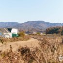 3대보리밥 이미지