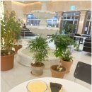 루트커피 이미지