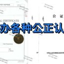 안산국제여행사 이미지