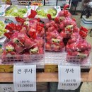 연아청과