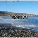 바닷가의추억
