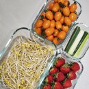 신선반찬 | 유리 진공 밀폐용기 빈크루즈 신선보관 반찬통 사용 후기