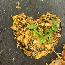 계변로 | 울산 중구 삼겹살 복산동 대패 맛집 돈대박 복산점