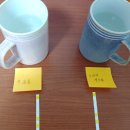 계측기옥션 | 음료수용 수질검사 키트 후기 (수돗물과 브리타 정수기 물 검사)