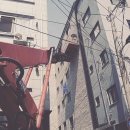 장안44 이미지