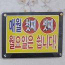 산척정육점