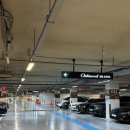 슈페리어 | [애견동반숙소] 송도 오크우드프리미어 인천 투베드룸 슈페리어 후기