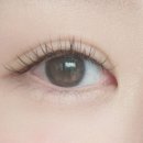 (주)닥터위드 이미지