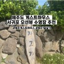 제주 자고가 | 제주도게스트하우스 추천 서귀포 오션뷰 수영장과 파티까지 [제주자고가]