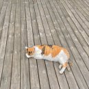 카페지안 이미지