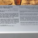 영천 영지사 대웅전 후불탱화 이미지