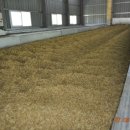 대산정미소 이미지