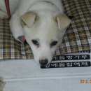 장혁농장 이미지