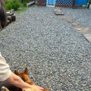 섬진강댁 이미지