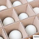 주식회사 깨끗한푸드
