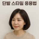 마샬헤어라인 이미지