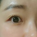 눈비체안경 | [아담속눈썹] 연신내에서 속눈썹 연장, 펌 제일 잘하는 곳 재방문후기!