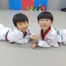 진향태권도장 | 🥋 진향태권도 유치부 · 초등부 신입생 모집