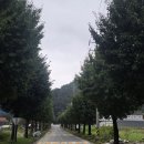 금산-06 Daum카페