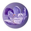 MELTED | [공지] [melted_iris] 블로그를 개설했습니다 :)