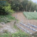 남해-134 이미지