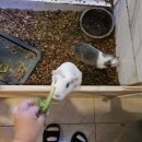 망고키즈수영장 양산점 | 양산파충류카페 망고키즈트라이랩 실내 아이랑 가볼만한 곳